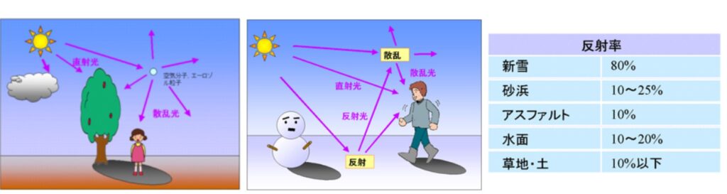 紫外線の反射